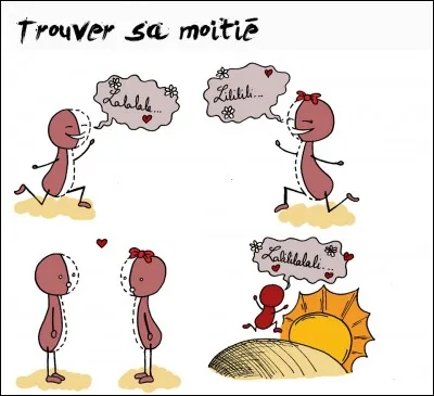 Quelle est la moitié de 600 ?