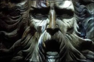 À qui appartient la tête sculptée dans la pierre se trouvant dans la Chambre des Secrets ?