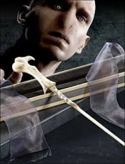 Quelle essence trouve-t-on dans la baguette de Voldemort ?