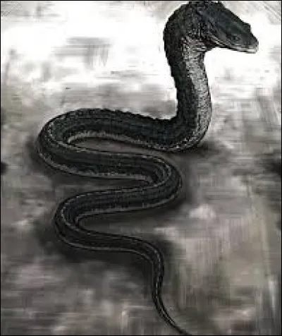 Pour obtenir un basilic, il faut croiser un uf de poule avec...