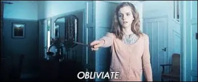 Qui va dans la maison des Granger dans "Harry Potter et les Reliques de la Mort : partie 1" ?