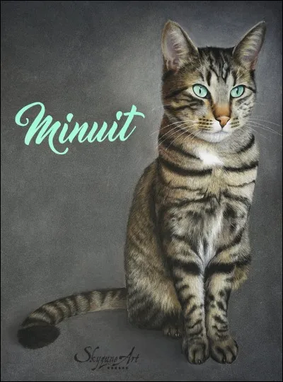 Quel est son apprenti, au début du livre Minuit ?