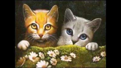 Qui est son meilleur ami (sous son nom d'apprenti), un peu plus tard, qu'il combat avant de le connaître ?