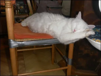 Comment se nomme la sur d'Etoile de Feu ?