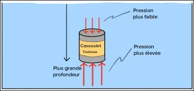 Quelle est l&acute;unit&eacute; S.I. de force ?