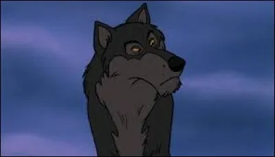 Essayez de nommer ce loup !