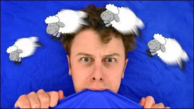 Quel est le nom de cette qui a chant&eacute; " Les insomnies" ?