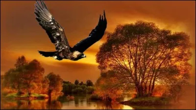 "L'aigle noir" est une chanson tr&egrave;s c&eacute;l&egrave;bre de cette chanteuse. Laquelle ?