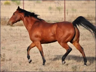 Où aimes-tu vivre ?