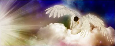 Cette chanteuse a chanté "Johnny tu n'es pas un ange". Laquelle ?