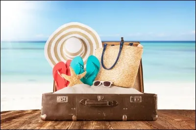 Cochez la femme ayant chanté "Sans bagage".