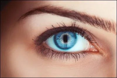 Laquelle de ces femmes a chanté "Plus bleu que tes yeux" ?