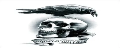 De quoi le chevalier Bertrand du Guesclin, connu pour ses faits d'armes lors de la guerre de Cent Ans, serait-il mort selon les historiens ?