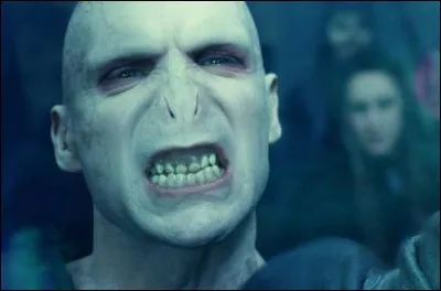 Quel titre Voldemort s'est-il conféré à lui-même ?