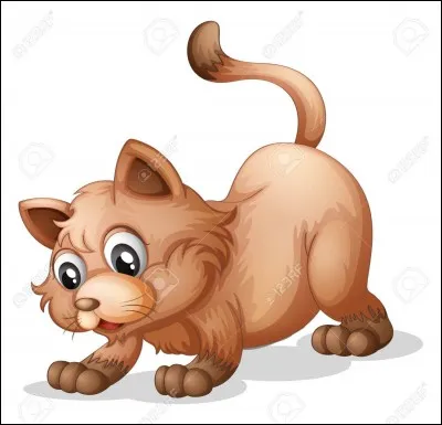 Quel est le nom de guerrier de Nuage de Fougère ?