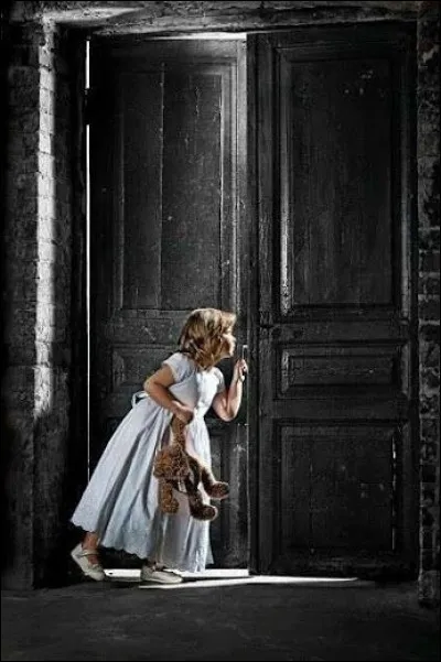 Quel est le titre du livre de David Bisson ?