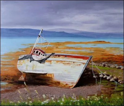 Où se situe l'île sur laquelle Robinson échoue ?