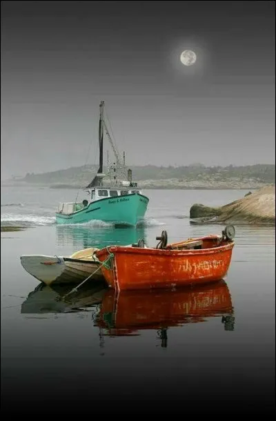 Qui chantait "Débarquez-moi" ?