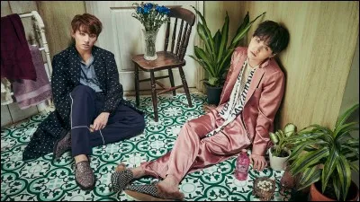 Quel membre ne faut-il surtout pas réveiller ?