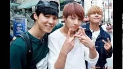 Les surnoms des membres Jongkook, Jimin et V sont...