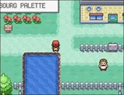 Quelle est la ville natale du héros principal ?