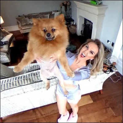 Quel est le nom du chien de Perrie ?