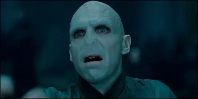 Quel est le nom des partisans de Voldemort ?