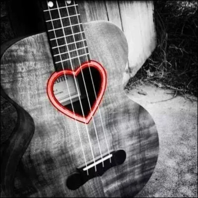 Qui chantait "Coeur à prendre, pas à vendre, à donner, un peu naze, un peu d'occase, un peu cassé...." ?