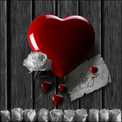 Qui chantait "Quand on tout juste quinze ans on n'a pas le coeur assez grand" ?