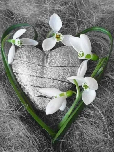 De qui sont les paroles " Tous les mots qu'elle mimait semblaient briser mon coeur, elle en faisait un peu trop, la fille...."