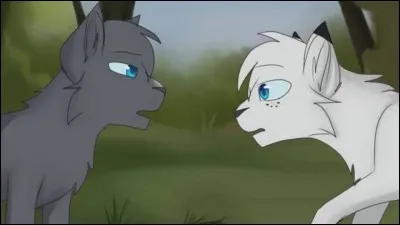 Quel était son nom de chaton ?