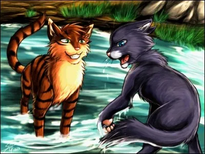 Quels sont ses chatons ?