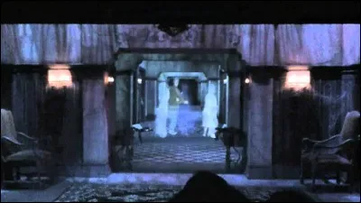 Quel est le véritable nom de ''La Tour de la terreur'' ?