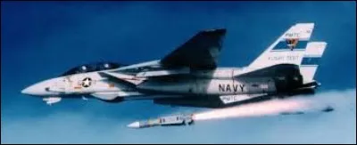 Quel est le missile longue portée de presque 500 000 $ utilisé du F-14 ?