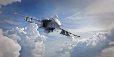 En quelle année le F/A-18 Super Hornet est-il sorti ?