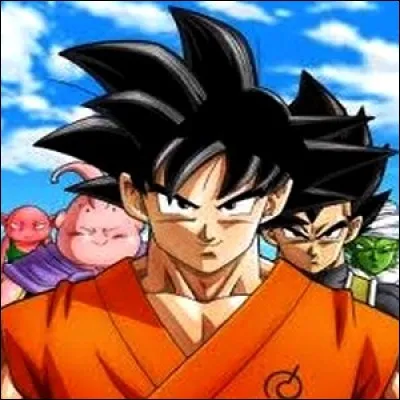 Dragon Ball : quel art martial, Tortue Géniale enseigne-t-il à Son Goku ?