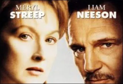 C'est un film, sorti en 1996, avec Liam Neeson et Meryl Streep.