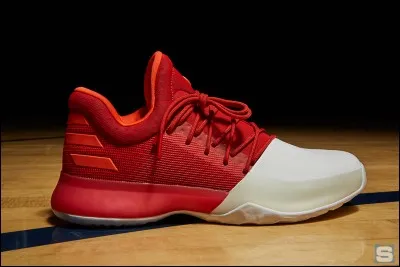 Quelle est cette chaussure ?