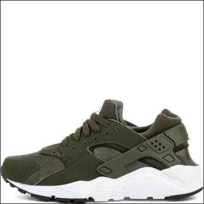 Quelle est cette chaussure ?