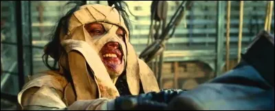 Lequel de ces personnages ne vient pas prêter main forte à Kenshin dans la dernière bataille qui l'oppose à Shishio ?