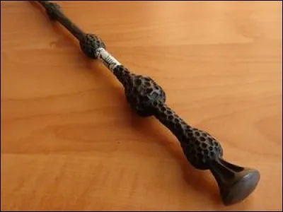 Si tu dois posséder un objet, lequel choisis-tu ?