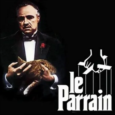 Le Parrain : Quelle anecdote est célèbre au 1er film ?