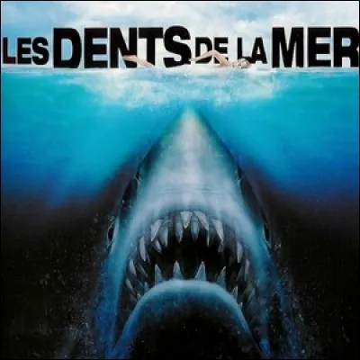 Les Dents de la Mer : Où se déroule le 1er volet ?