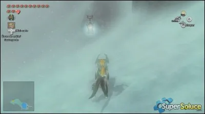 Quel est le nom du donjon du massif des Pics Blancs ?