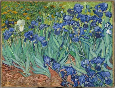 V - Cette peinture, "Iris", est une uvre de "Vincent van Gogh".