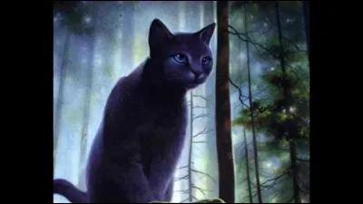 Qui a été son mentor ?