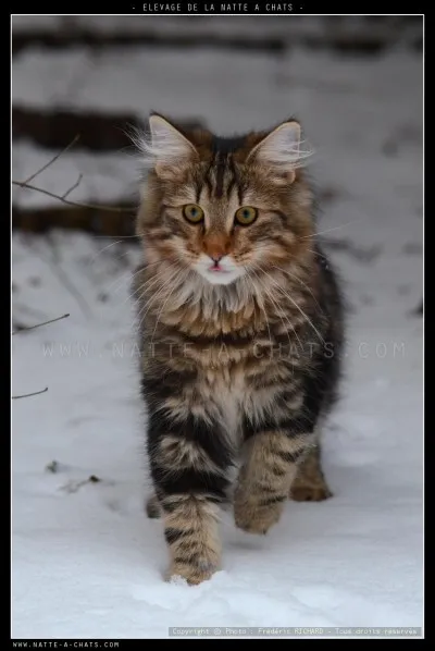 Quel est son nom d'apprentie ?