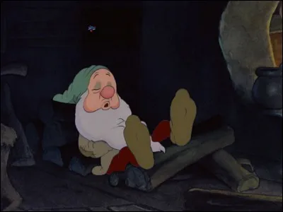 Dormeur, nain, porte quoi ?