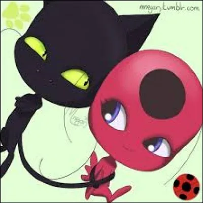 Quel âge ont Tikky et Plagg ?