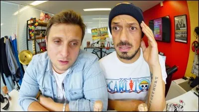 Dans quelles villes françaises, les youtubeurs Mcfly et Carlito, ont-ils distribué leur décors ?